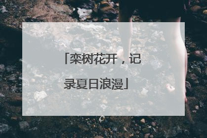 栾树花开，记录夏日浪漫