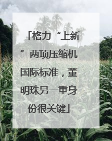 格力“上新”两项压缩机国际标准，董明珠另一重身份很关键