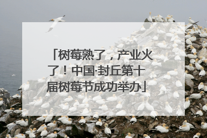 树莓熟了，产业火了！中国·封丘第十届树莓节成功举办