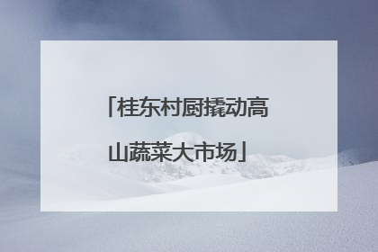 桂东村厨撬动高山蔬菜大市场