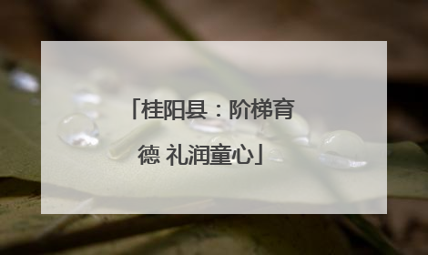 桂阳县：阶梯育德 礼润童心