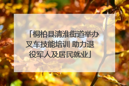 桐柏县清淮街道举办叉车技能培训 助力退役军人及居民就业