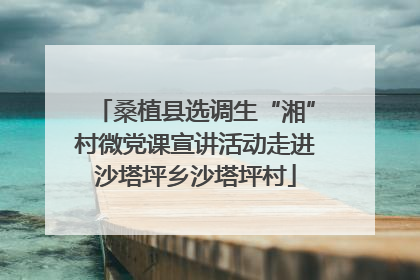 桑植县选调生“湘”村微党课宣讲活动走进沙塔坪乡沙塔坪村