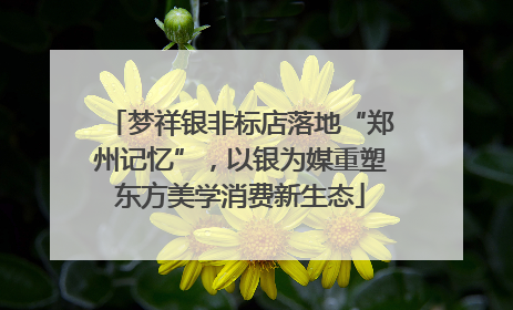 梦祥银非标店落地“郑州记忆”，以银为媒重塑东方美学消费新生态