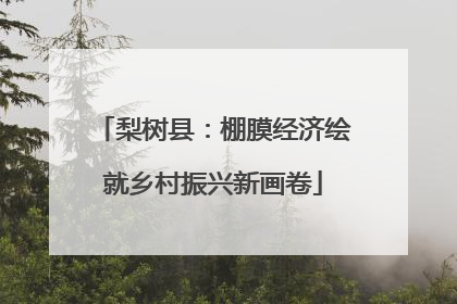 梨树县：棚膜经济绘就乡村振兴新画卷