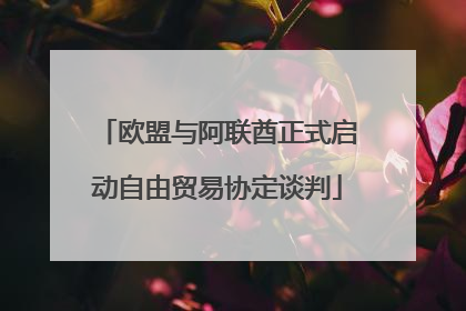 欧盟与阿联酋正式启动自由贸易协定谈判
