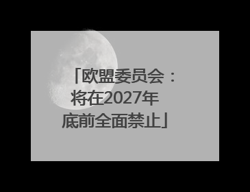 欧盟委员会：将在2027年底前全面禁止