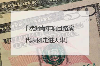 欧洲青年项目路演代表团走进天津
