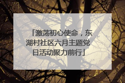激荡初心使命，东湖村社区六月主题党日活动聚力前行