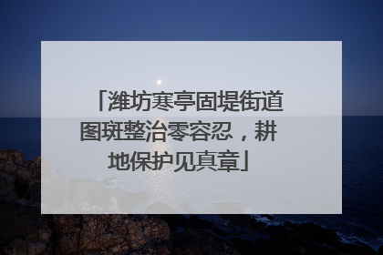 潍坊寒亭固堤街道图斑整治零容忍，耕地保护见真章