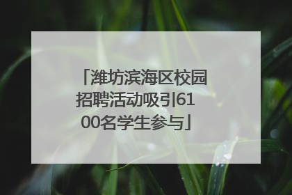潍坊滨海区校园招聘活动吸引6100名学生参与