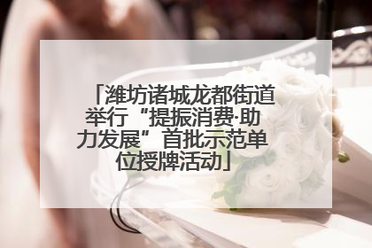 潍坊诸城龙都街道举行“提振消费·助力发展”首批示范单位授牌活动