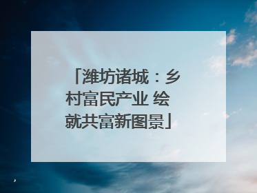 潍坊诸城：乡村富民产业 绘就共富新图景