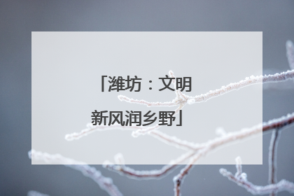 潍坊：文明新风润乡野