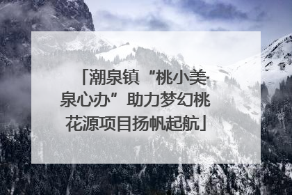 潮泉镇“桃小美·泉心办”助力梦幻桃花源项目扬帆起航
