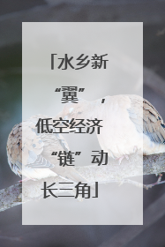 水乡新“翼”，低空经济“链”动长三角