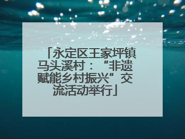 永定区王家坪镇马头溪村：“非遗赋能乡村振兴”交流活动举行
