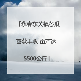 永春东关镇冬瓜喜获丰收 亩产达5500公斤