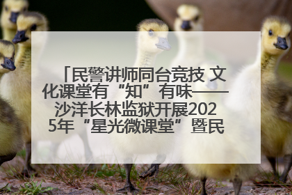 民警讲师同台竞技 文化课堂有“知”有味——沙洋长林监狱开展2025年“星光微课堂”暨民警优质课竞赛