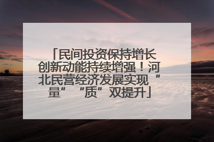 民间投资保持增长 创新动能持续增强！河北民营经济发展实现“量”“质”双提升