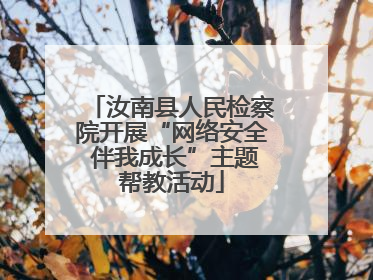 汝南县人民检察院开展“网络安全 伴我成长”主题帮教活动