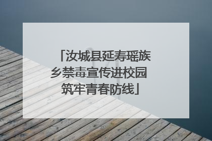 汝城县延寿瑶族乡禁毒宣传进校园 筑牢青春防线