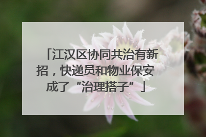 江汉区协同共治有新招，快递员和物业保安成了“治理搭子”