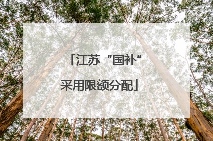 江苏“国补”采用限额分配