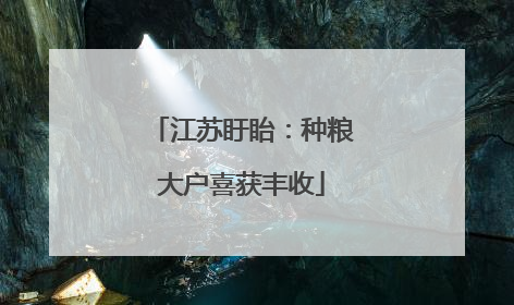江苏盱眙：种粮大户喜获丰收