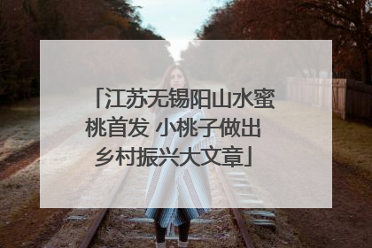 江苏无锡阳山水蜜桃首发 小桃子做出乡村振兴大文章