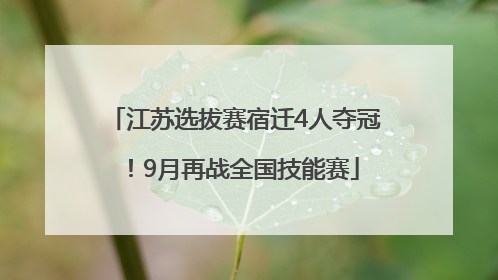 江苏选拔赛宿迁4人夺冠！9月再战全国技能赛
