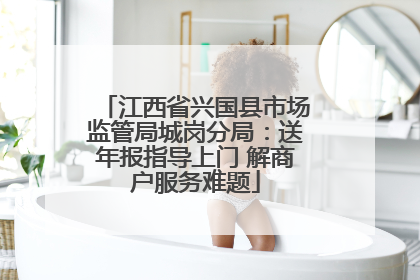 江西省兴国县市场监管局城岗分局：送年报指导上门 解商户服务难题