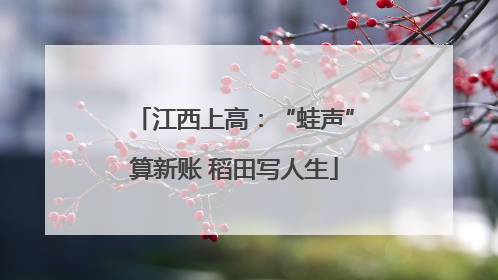 江西上高：“蛙声”算新账 稻田写人生