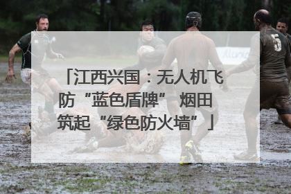 江西兴国：无人机飞防“蓝色盾牌” 烟田筑起“绿色防火墙”