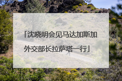 沈晓明会见马达加斯加外交部长拉萨塔一行