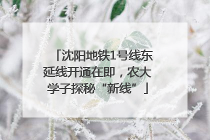 沈阳地铁1号线东延线开通在即，农大学子探秘“新线”