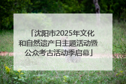 沈阳市2025年文化和自然遗产日主题活动暨公众考古活动季启幕
