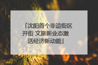 沈阳首个非遗街区开街 文旅新业态激活经济新动能