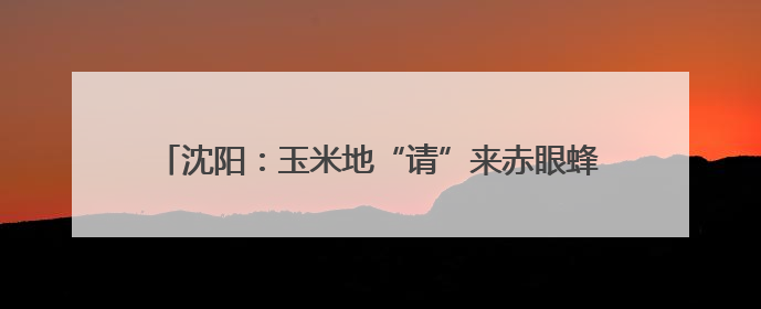沈阳：玉米地“请”来赤眼蜂 科技赋能农业助绿色增产