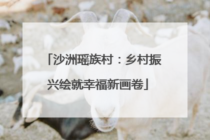 沙洲瑶族村：乡村振兴绘就幸福新画卷