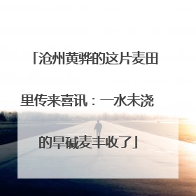沧州黄骅的这片麦田里传来喜讯：一水未浇的旱碱麦丰收了