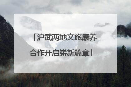 沪武两地文旅康养合作开启崭新篇章