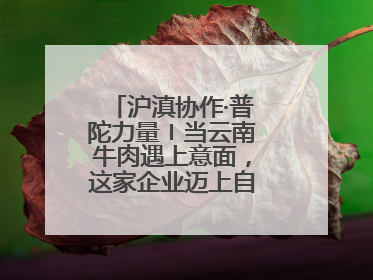 沪滇协作·普陀力量〡当云南牛肉遇上意面，这家企业迈上自研发展快车道