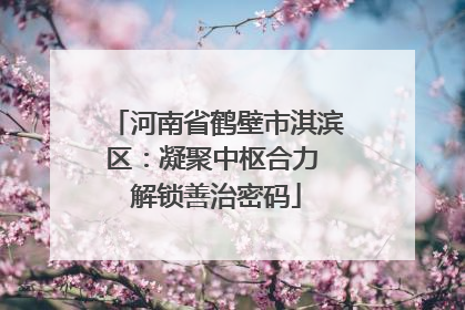 河南省鹤壁市淇滨区：凝聚中枢合力 解锁善治密码