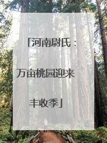 河南尉氏：万亩桃园迎来丰收季