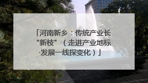 河南新乡：传统产业长“新枝”（走进产业地标·发展一线探变化）