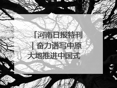 河南日报特刊｜奋力谱写中原大地推进中国式现代化新篇章