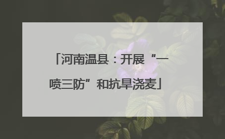 河南温县：开展“一喷三防”和抗旱浇麦