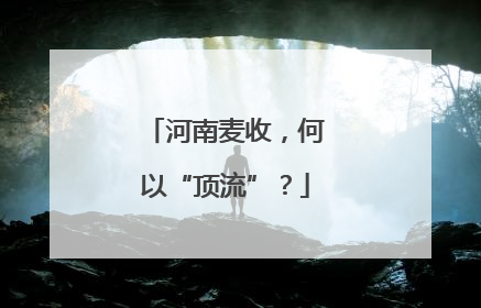河南麦收，何以“顶流”？