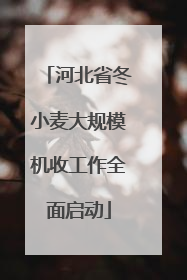 河北省冬小麦大规模机收工作全面启动